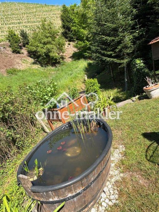 Garten mit Teich
