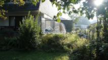 Garten_Gewächshaus