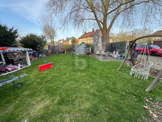 Bild