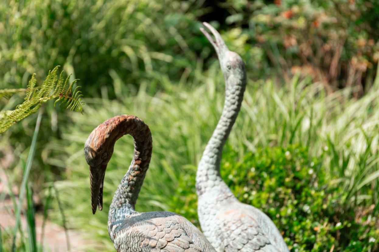 Impressionen Garten