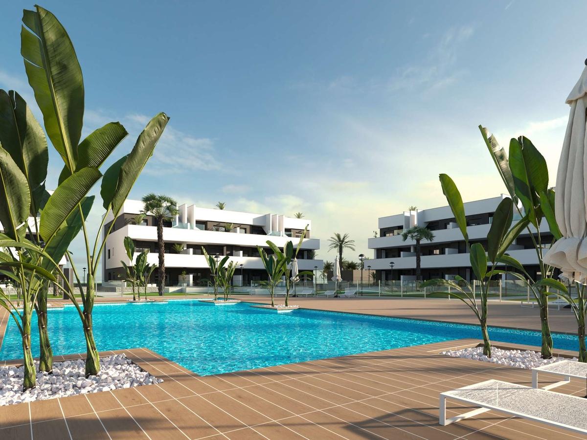Oasis Laguna 15