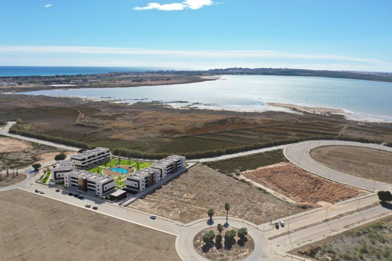 Oasis Laguna 11