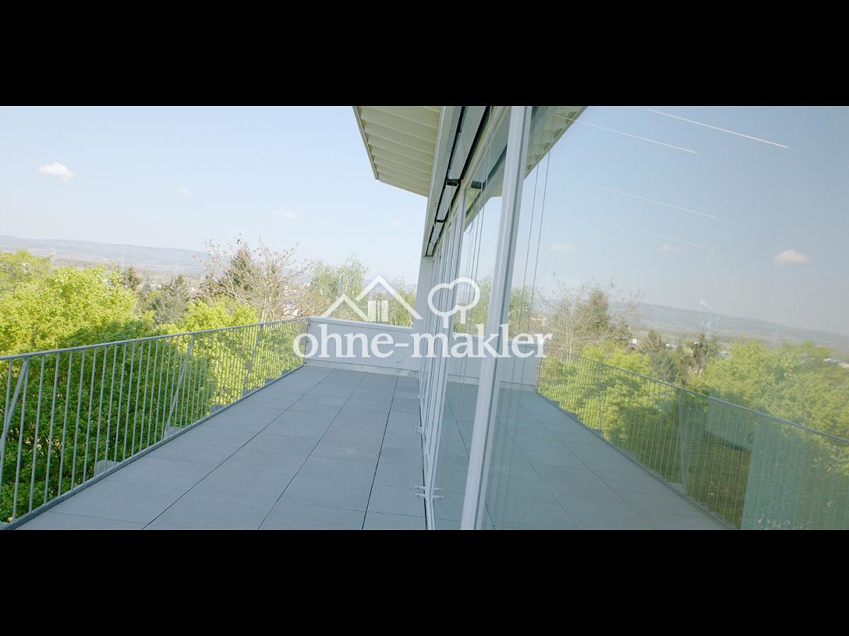 De-La-Roche-Park Mainz