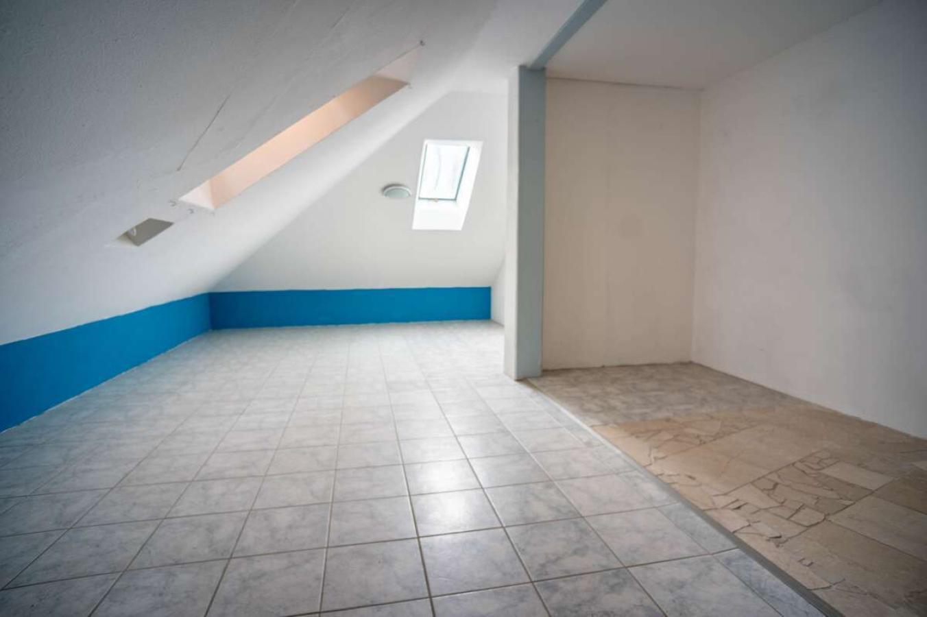 Zimmer1 DG