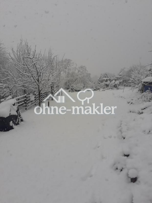 Garten - Winter