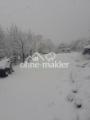 Garten - Winter