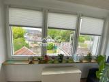 Panoramafenster WZ 1 Etg.