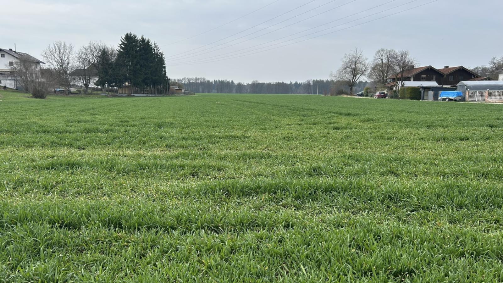 Blick auf das Grundstück 