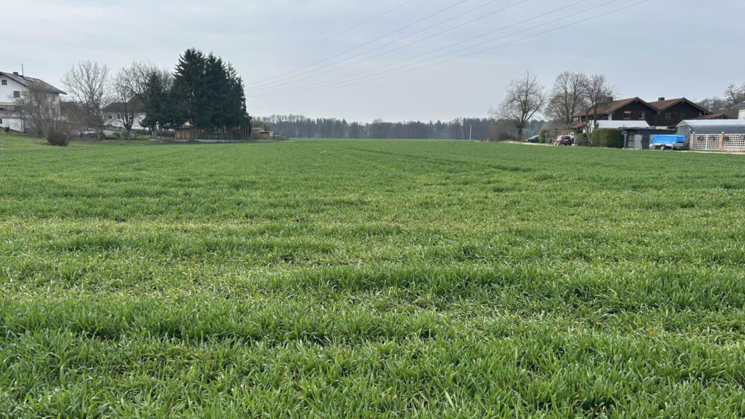 Blick auf das Grundstück 