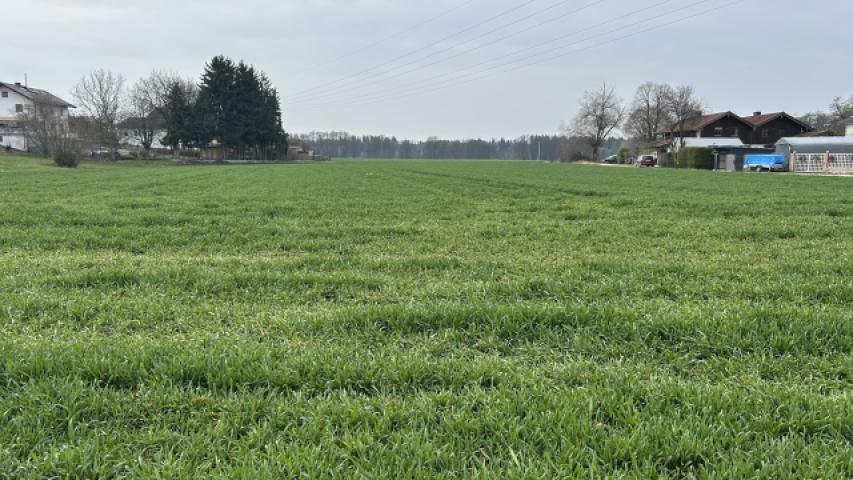Blick auf das Grundstück 