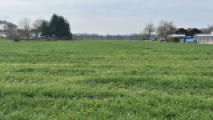 Blick auf das Grundstück 