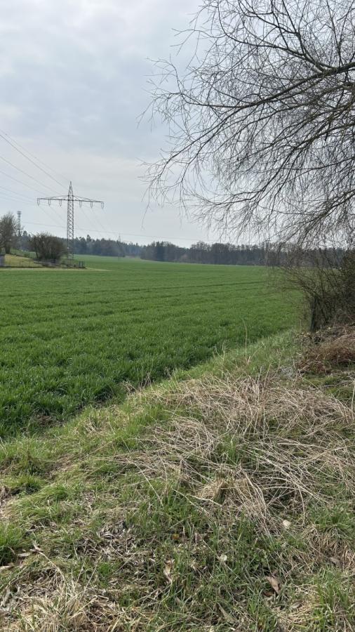 Blick auf das Grundstück 
