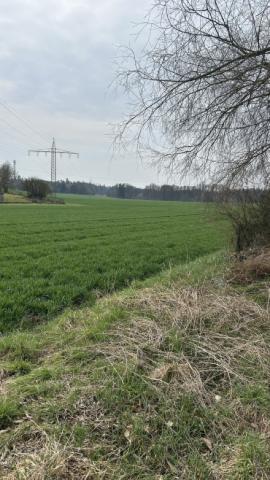 Blick auf das Grundstück 