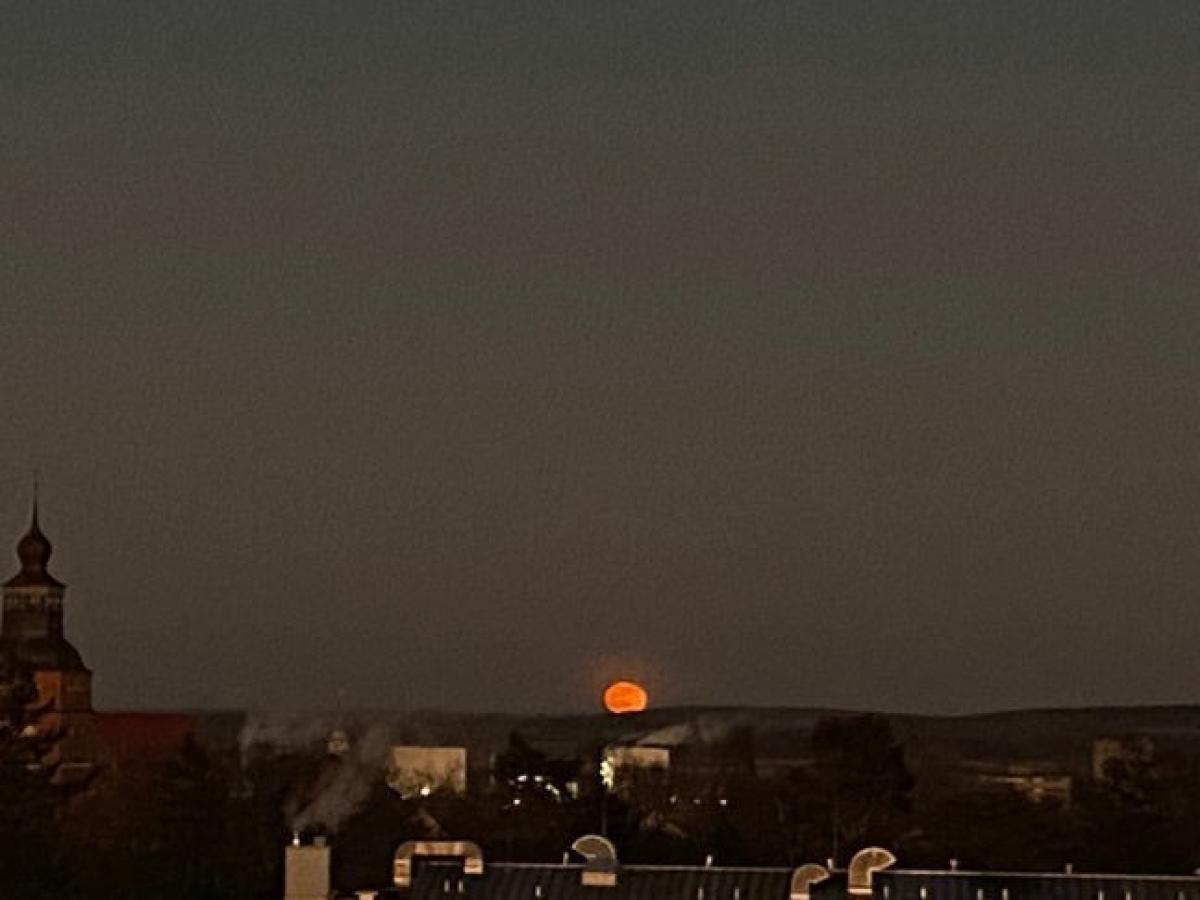 Bild5