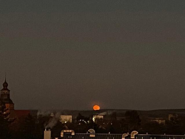 Bild5