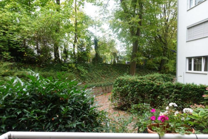 Ausblick