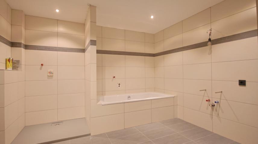 Großes, Modernes Badezimmer