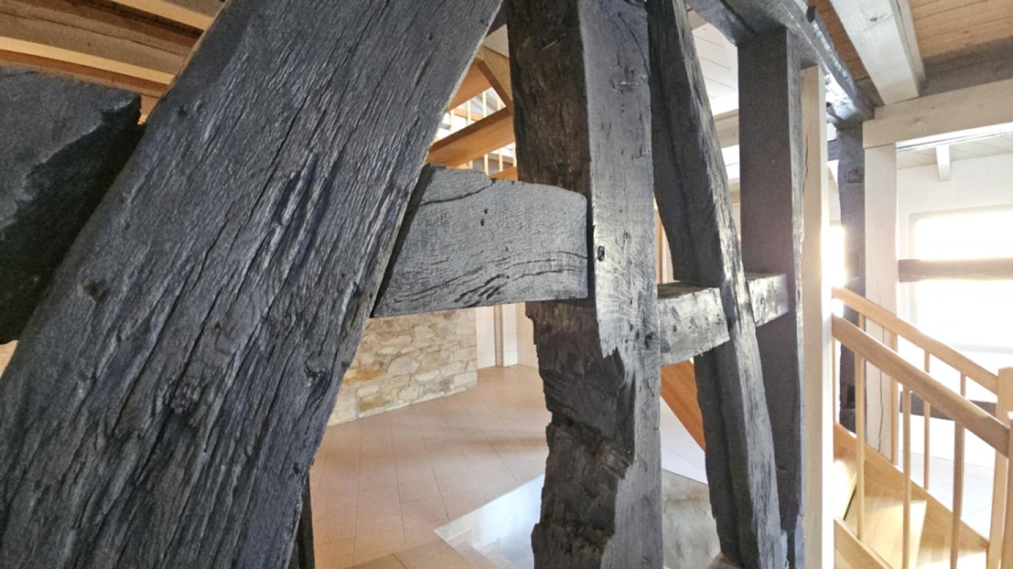 Wenn diese Balken sprechen könnten