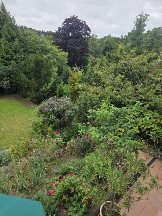 Garten3