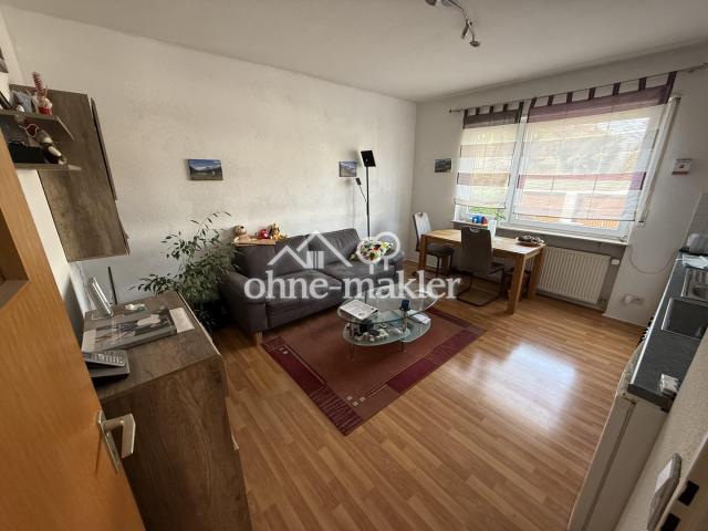 Wohnzimmer/Küche