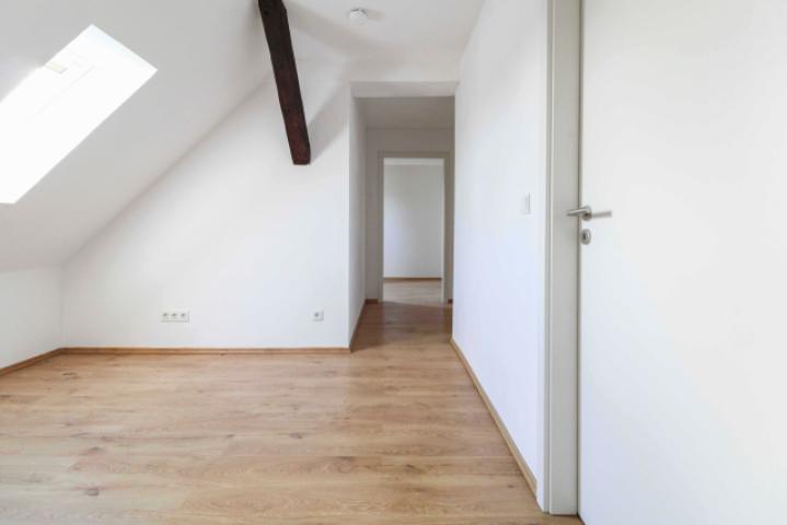 Zimmer IV