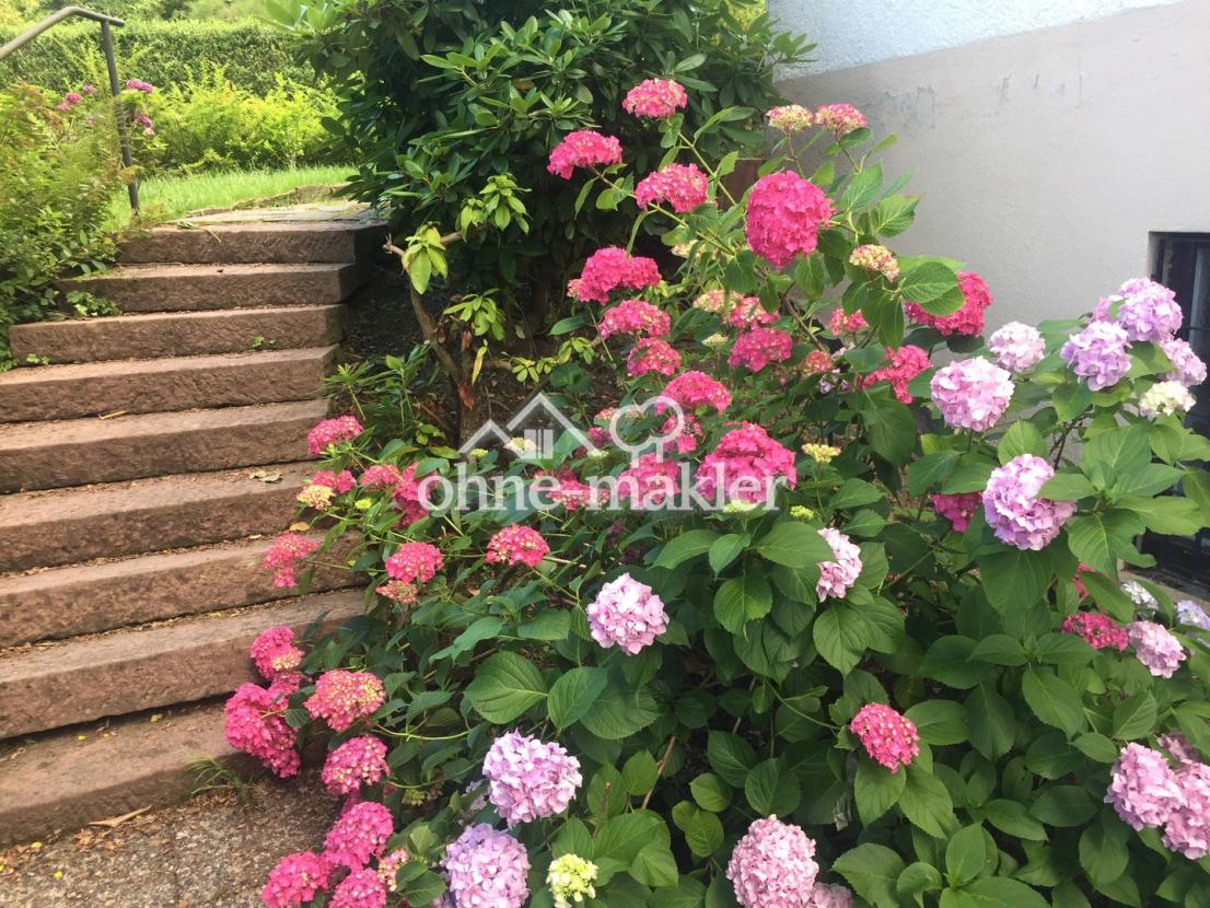 Treppe Gartenzugang