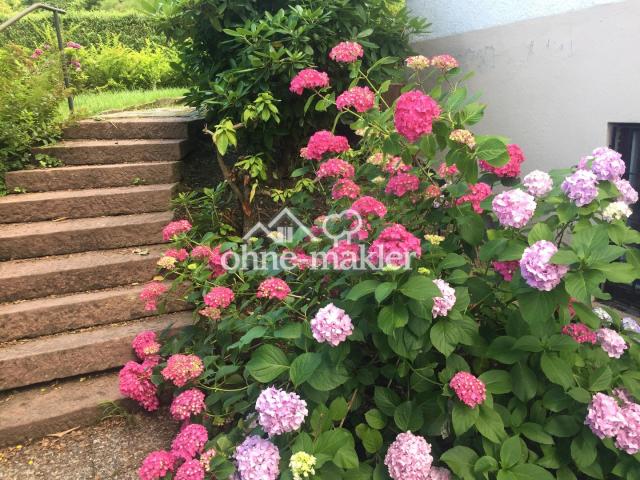Treppe Gartenzugang