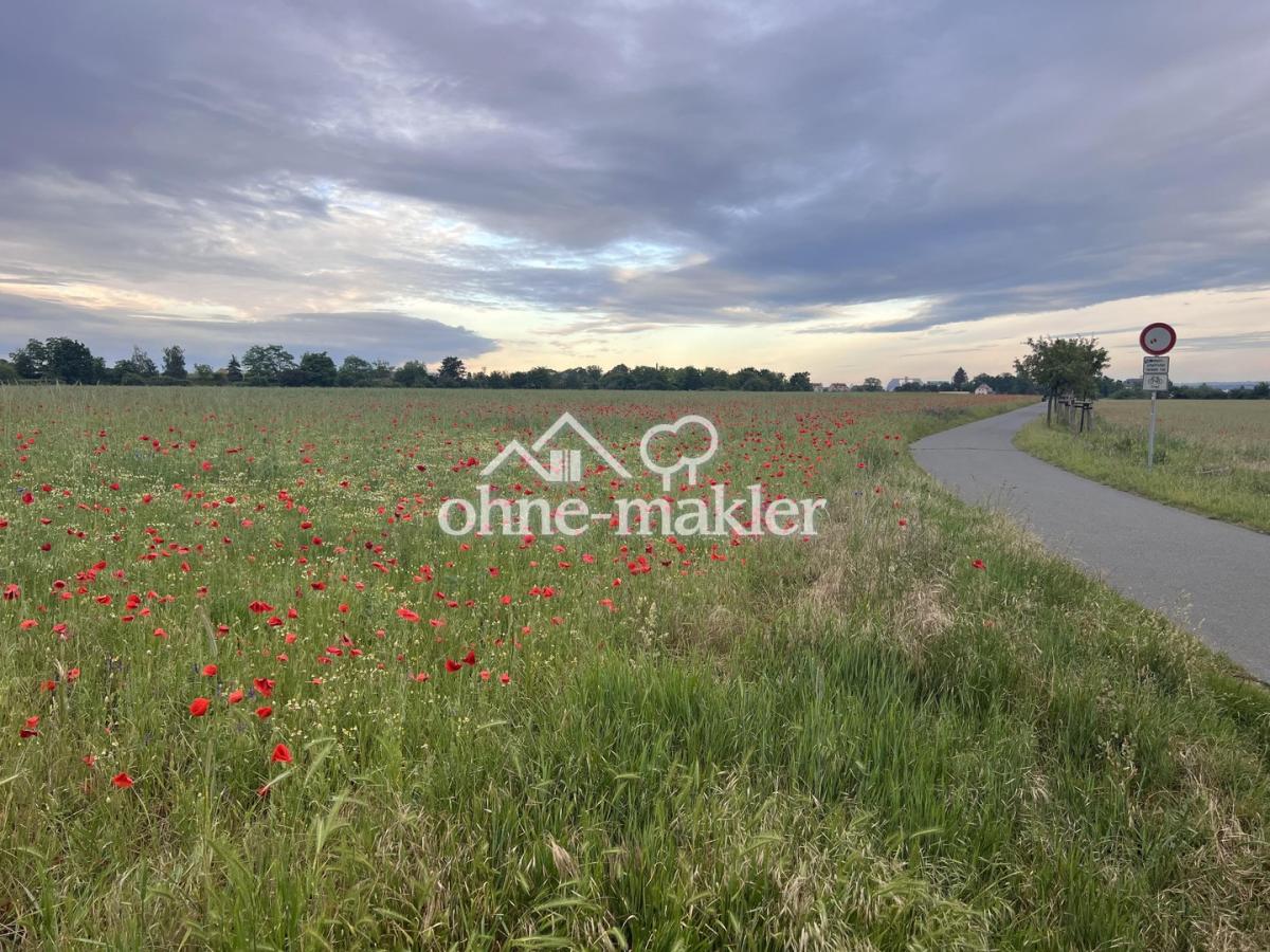 Elberadweg