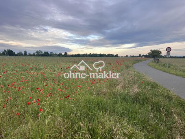 Elberadweg