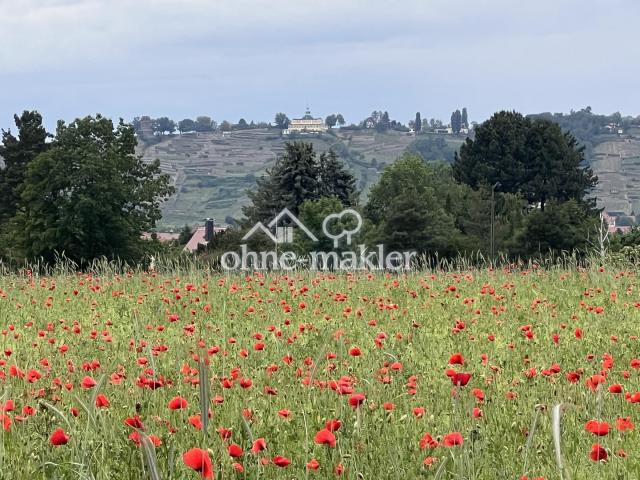 Blick aufs Spitzhaus Radebeul