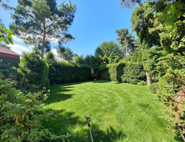 Gartengestaltung - (KI generiert)