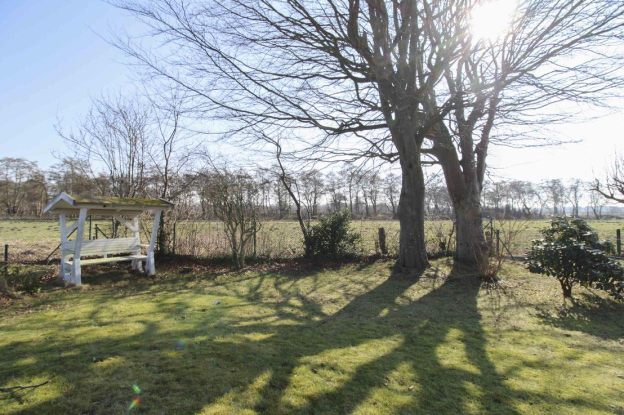 Ansicht Feld