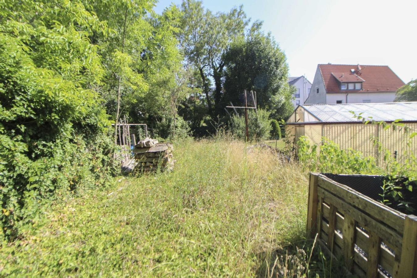 Garten_1