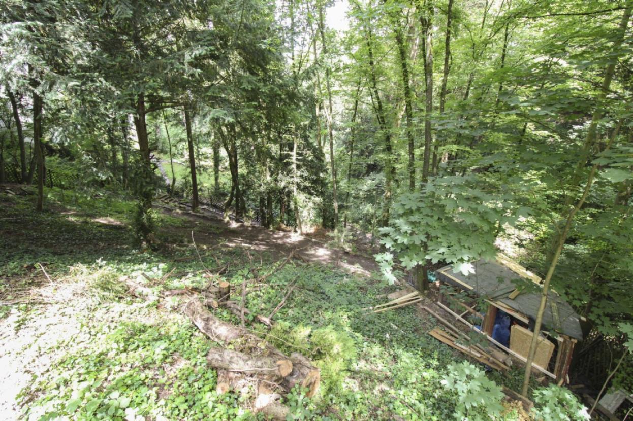 Blick runter zum Grundstück