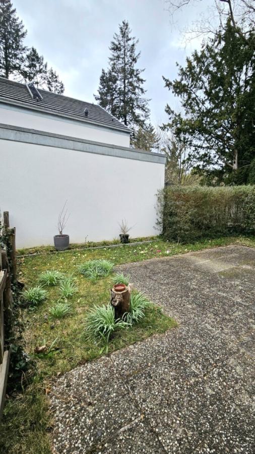 Garten mit Terrasse