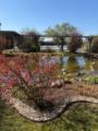 Gartenblick