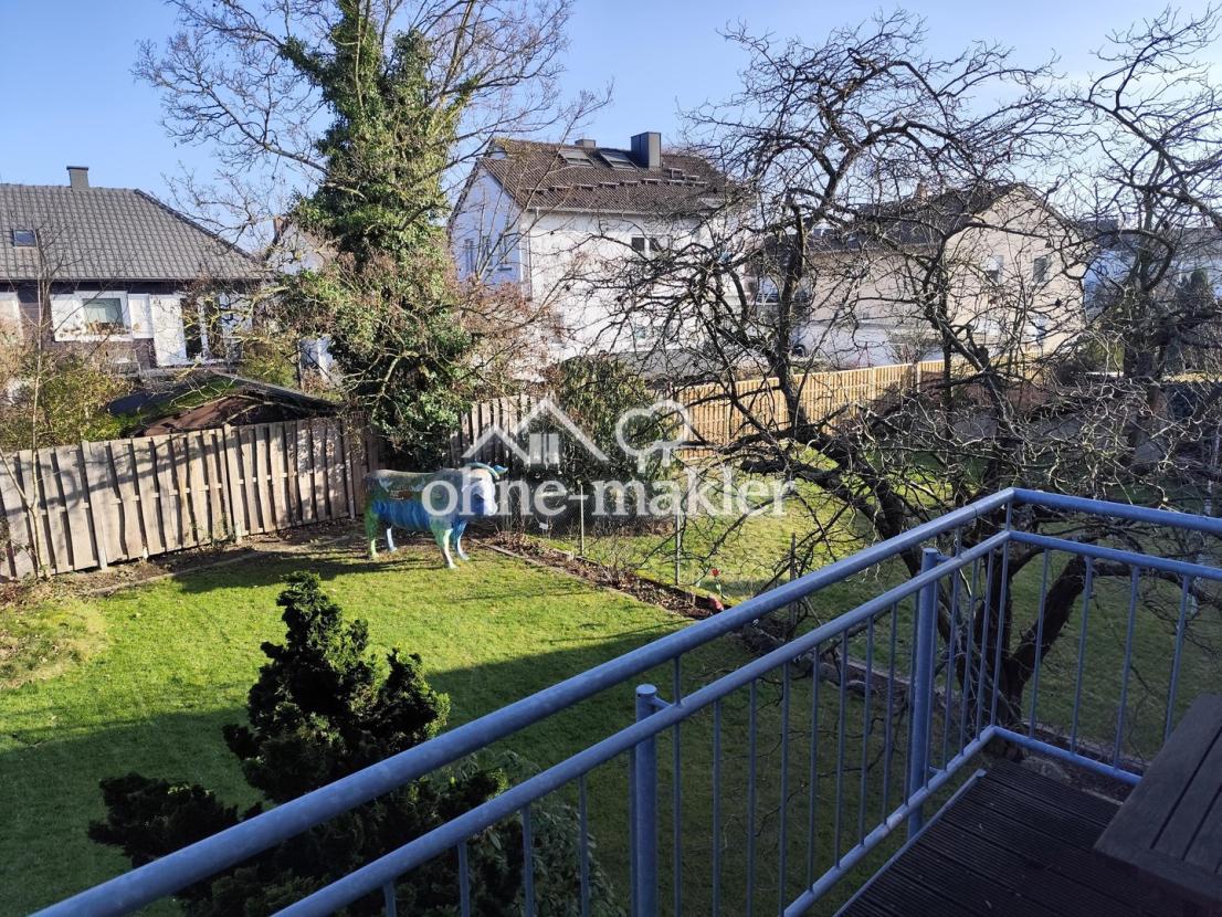 Blick in den Garten