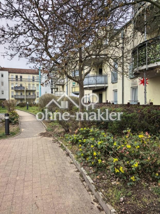 Blick auf Terrasse/Hinterhof