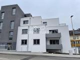 Haus