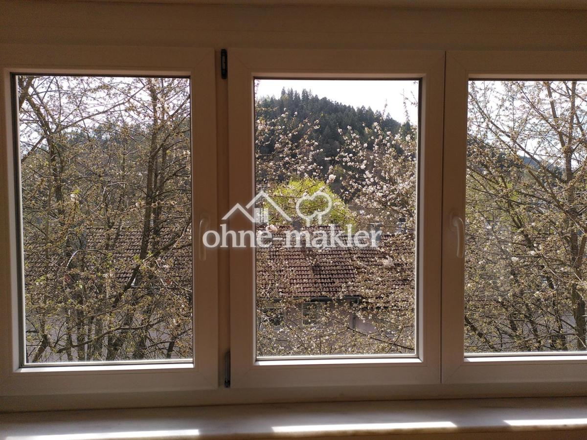 Blick aus Wohnzimmer