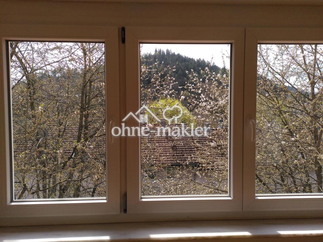 Blick aus Wohnzimmer