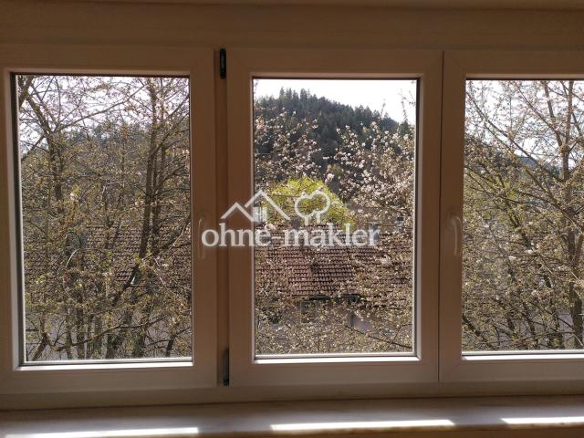 Blick aus Wohnzimmer