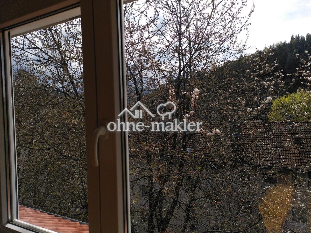 Blick aus Wohnzimmer