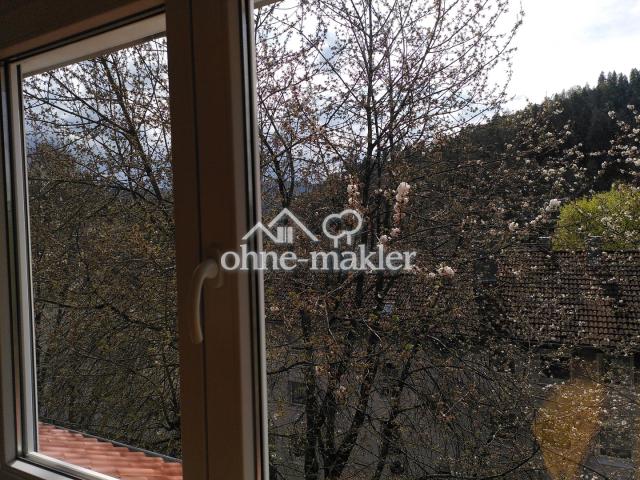 Blick aus Wohnzimmer