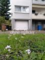 Garage, Kellereingang