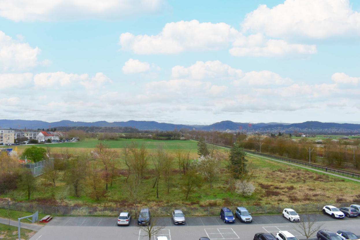 Ausblick