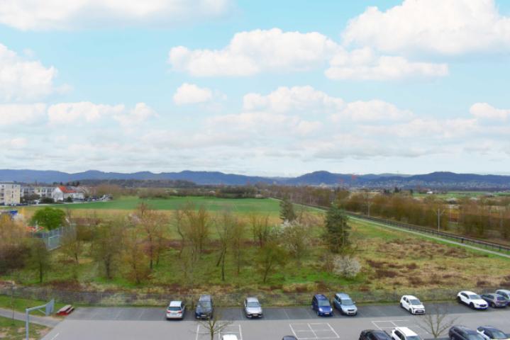 Ausblick
