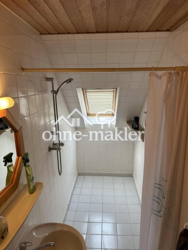 DG WC mit großer Dusche 2