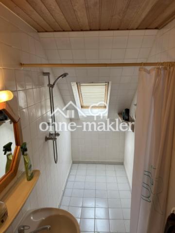 DG WC mit großer Dusche 2