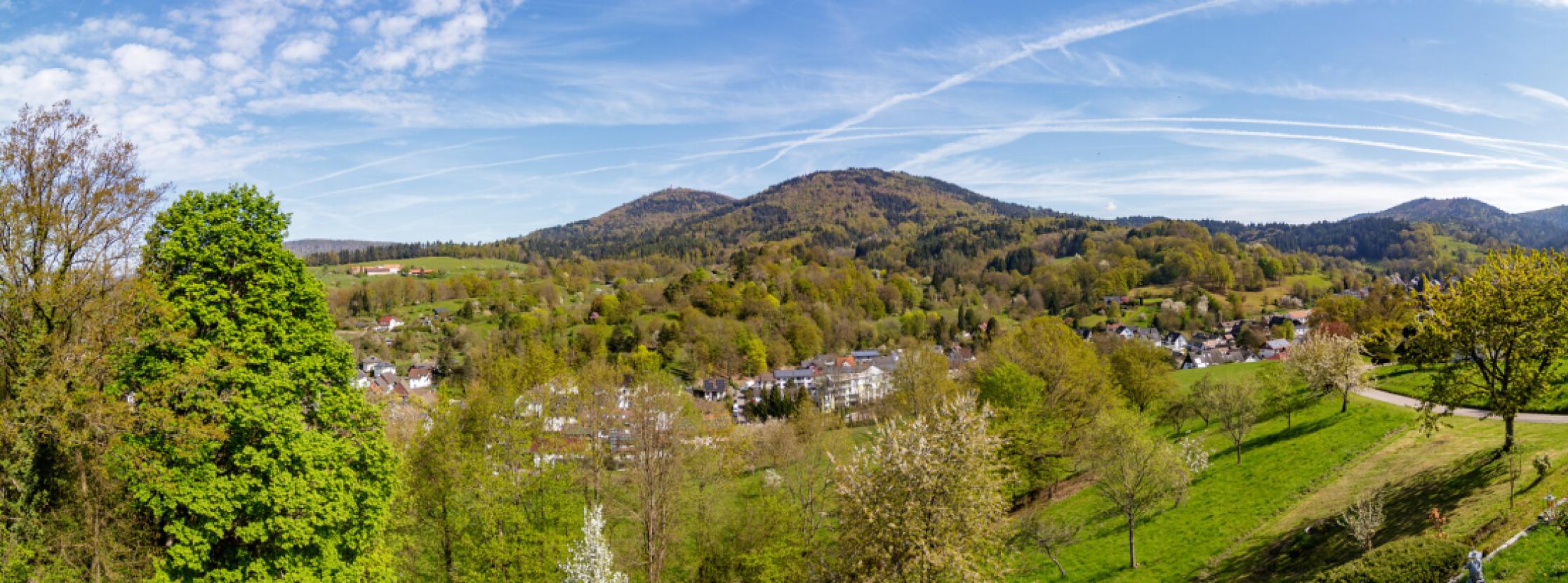 Panoramablick